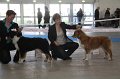 IMG_0968