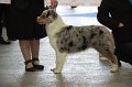 IMG_0975