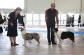 IMG_0981