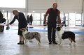 IMG_0983