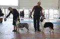 IMG_0984