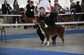 IMG_0991