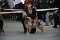IMG_0995