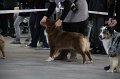 IMG_0997