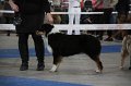 IMG_1005