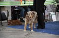 IMG_1011