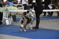 IMG_1013