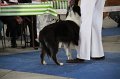 IMG_1015
