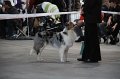 IMG_1019