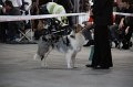 IMG_1020