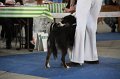 IMG_1021