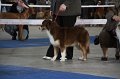 IMG_1023