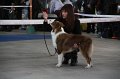 IMG_1029