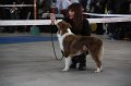 IMG_1030