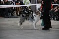 IMG_1031