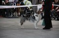 IMG_1032