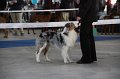 IMG_1033