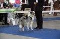 IMG_1034