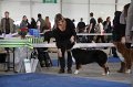 IMG_1036