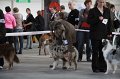 IMG_1041