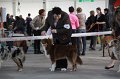 IMG_1042