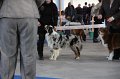IMG_1043