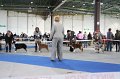 IMG_1046