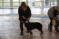 IMG_1047