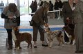 IMG_1050