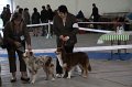 IMG_1051