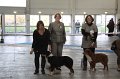 IMG_1052