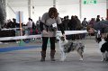 IMG_1056
