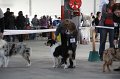 IMG_1057