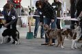 IMG_1058