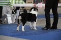 IMG_1059