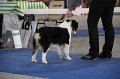 IMG_1061