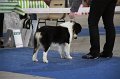 IMG_1062