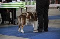 IMG_1066