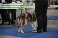 IMG_1067