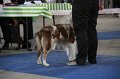IMG_1068