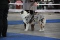IMG_1069