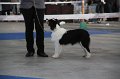 IMG_1071