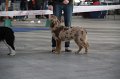 IMG_1073