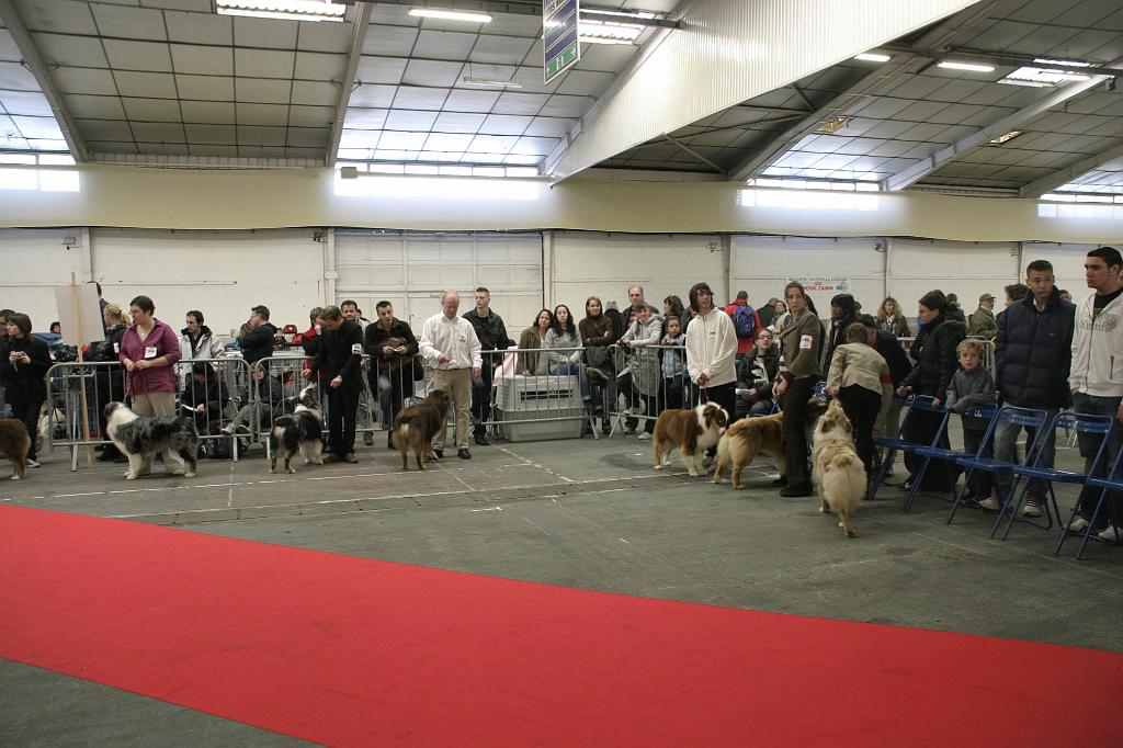 Montpellier2008007.JPG