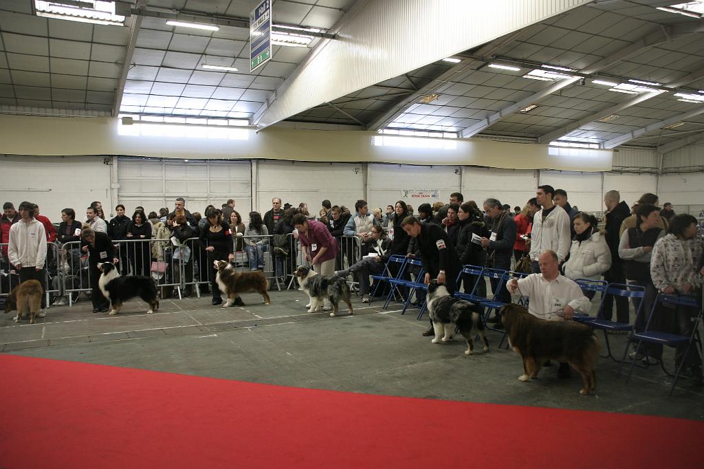 Montpellier2008015.JPG