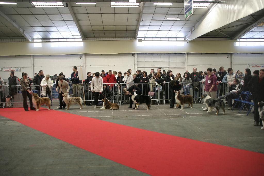 Montpellier2008016.JPG