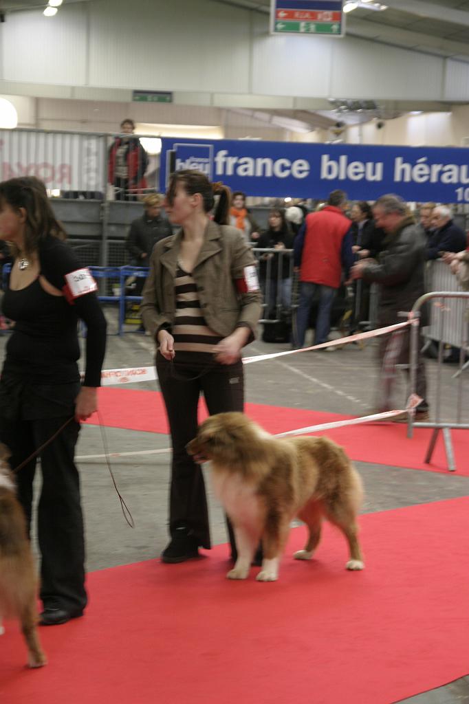 Montpellier2008023.JPG