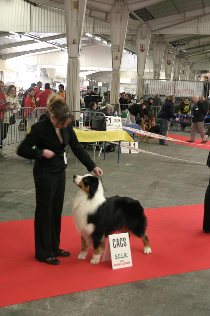 Montpellier2008027.JPG