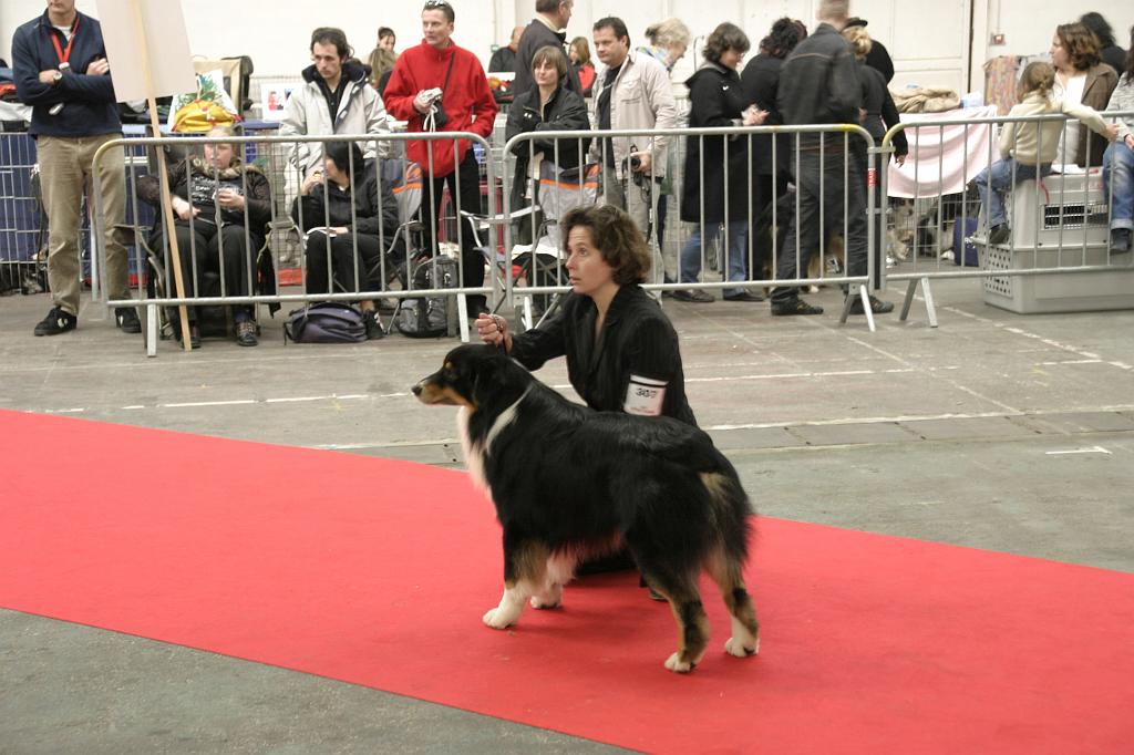 Montpellier2008031.JPG