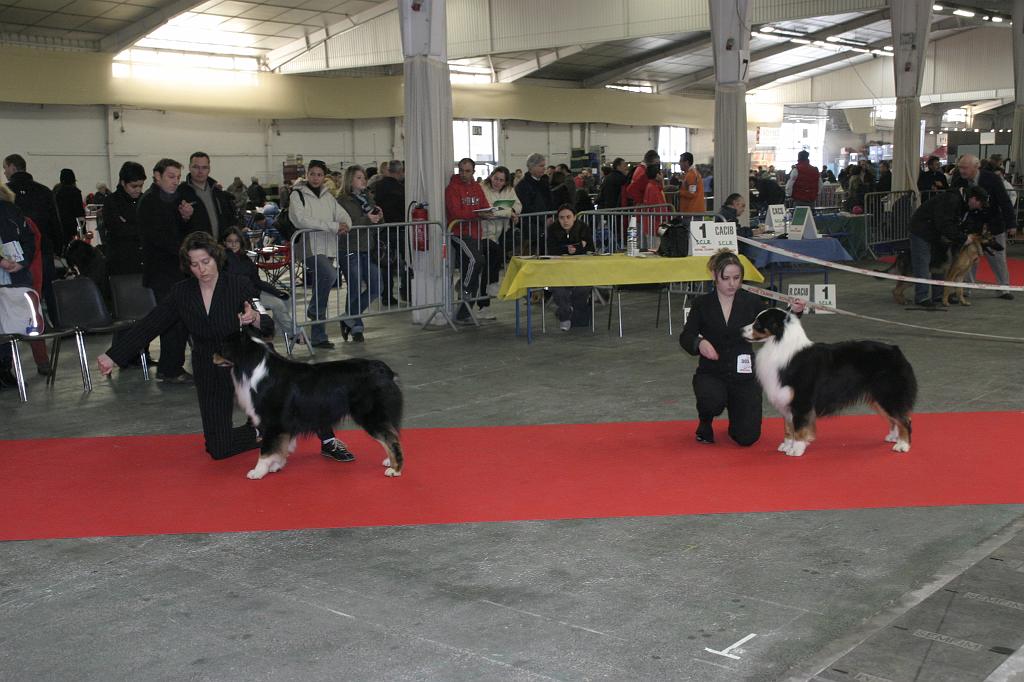 Montpellier2008033.JPG